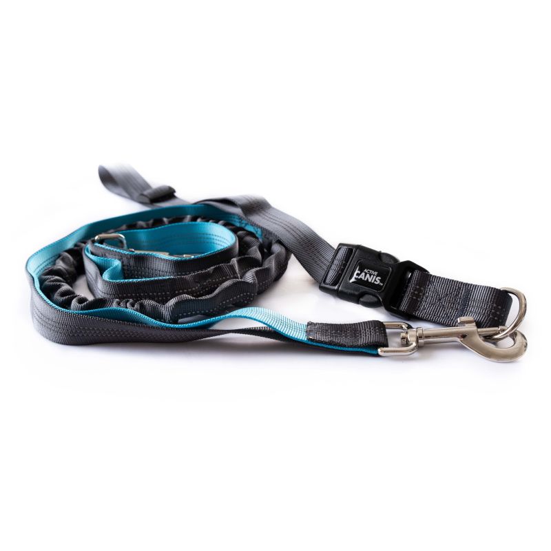 Jogging Leash+belt