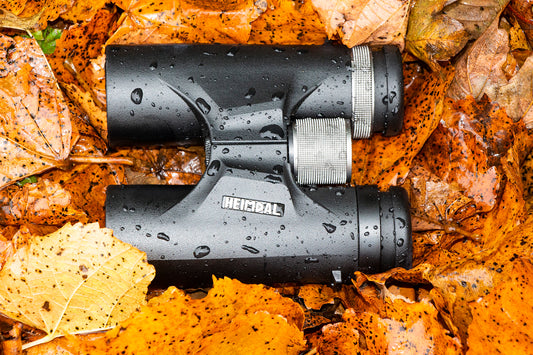 Binocular Heimdal vs. 10x42