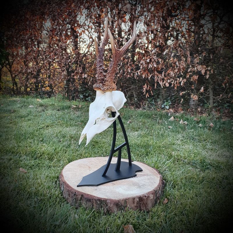 Bukkestativ oprejst 200mm (Hs Steel)