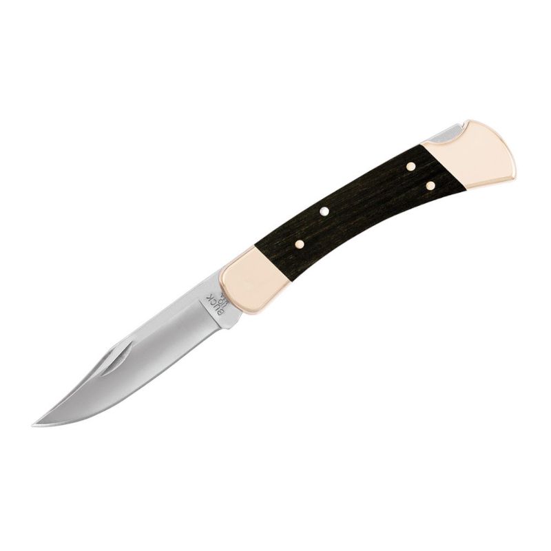 Buck Folding Hunter 110BRS