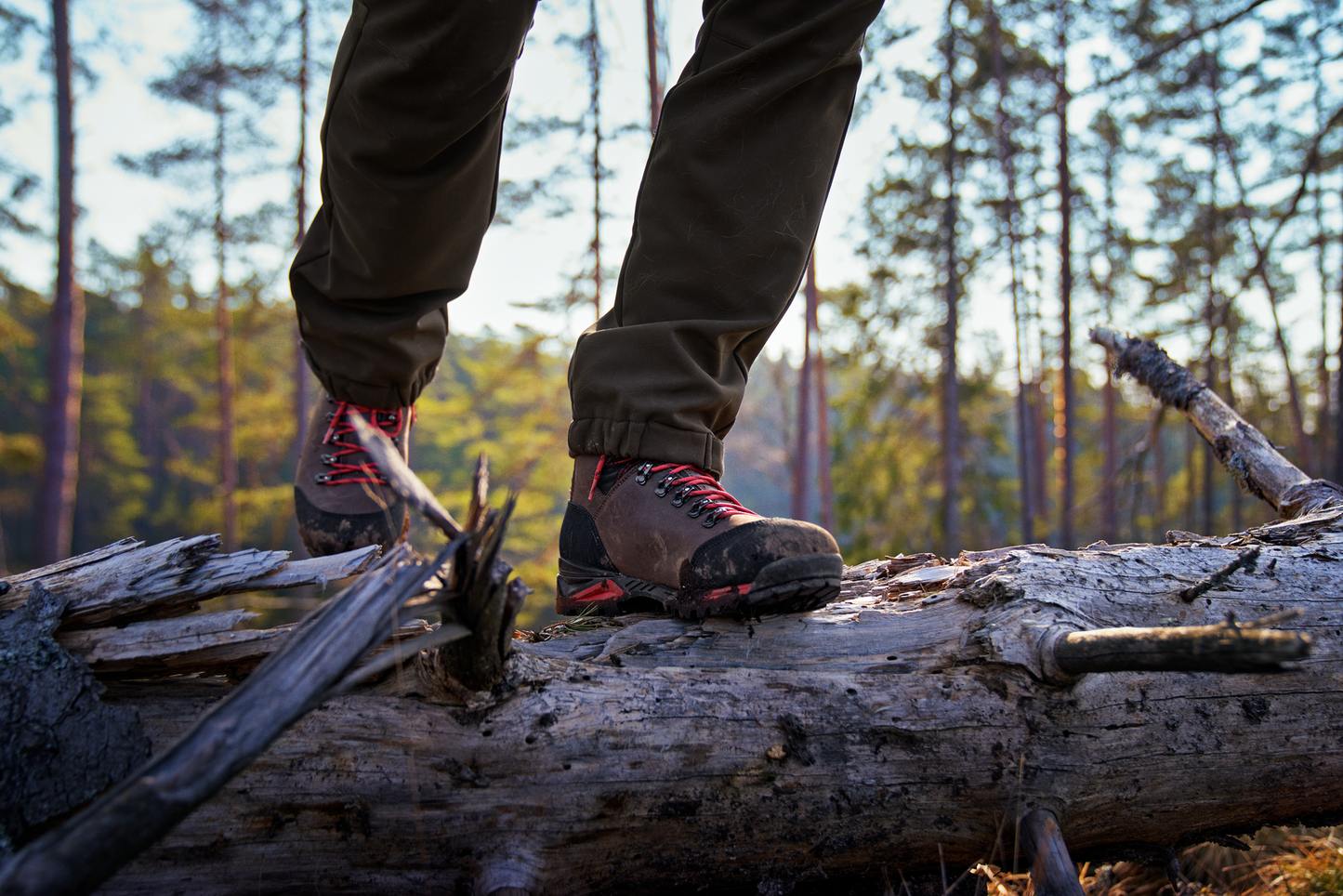 Härkila Forest Hunter GTX Mid