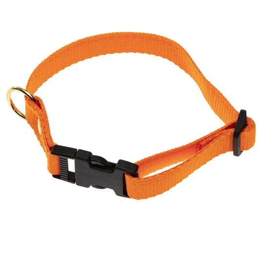 Halsrem webbing Orange, 25mm x 60cm