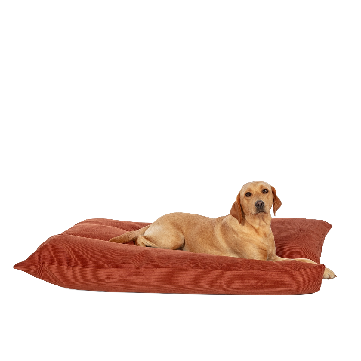 D.D. Elden Rust Deep Duvet